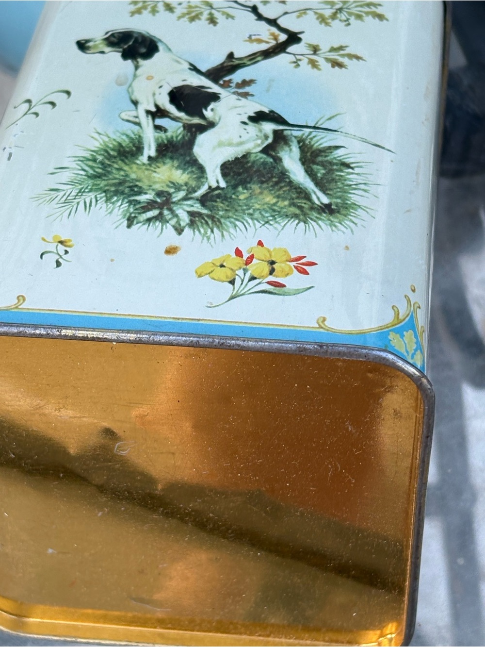 English Dog Tin - Picture 3 of 4